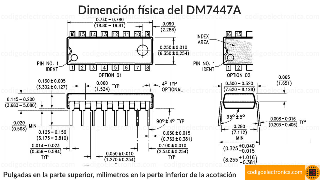 Pines 7447