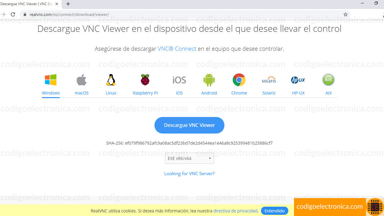 Pagina descarga VNC